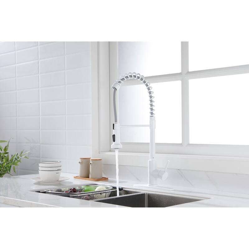 Kitchen Faucet with Pull Out Spraye
