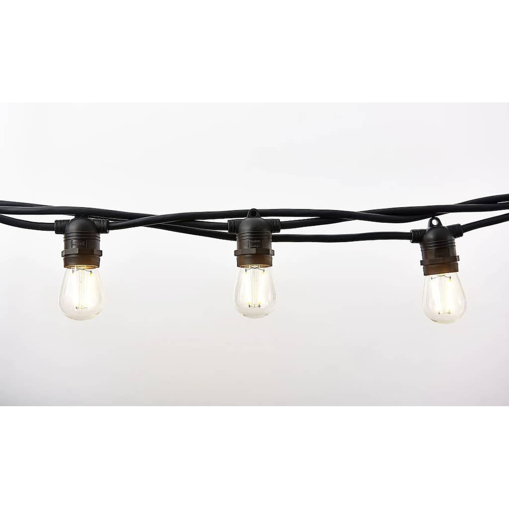 12ct Clear Edison Bulb Light Set, 21ft Black Wire