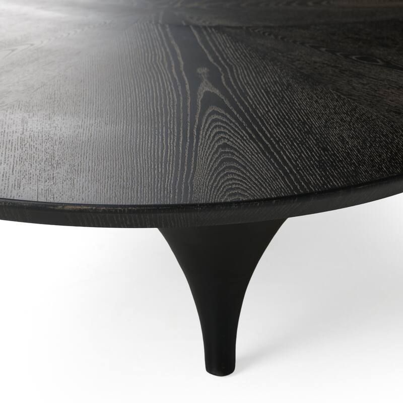 Modrest Beulah Modern Free Form Black Ash Coffee Table