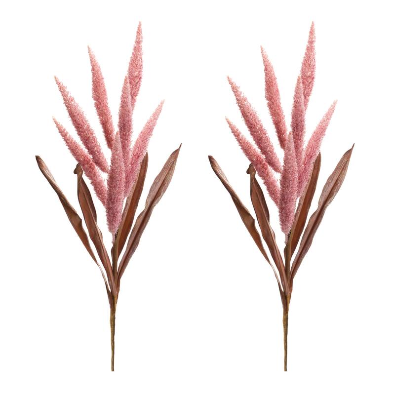 Foxtail Plume Stem (Set of 2)