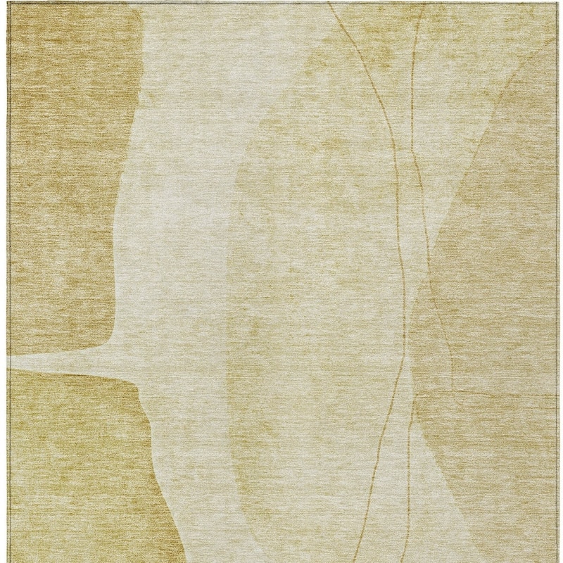 HomeRoots Abstract Transitional Rectangle Outdoor Rug