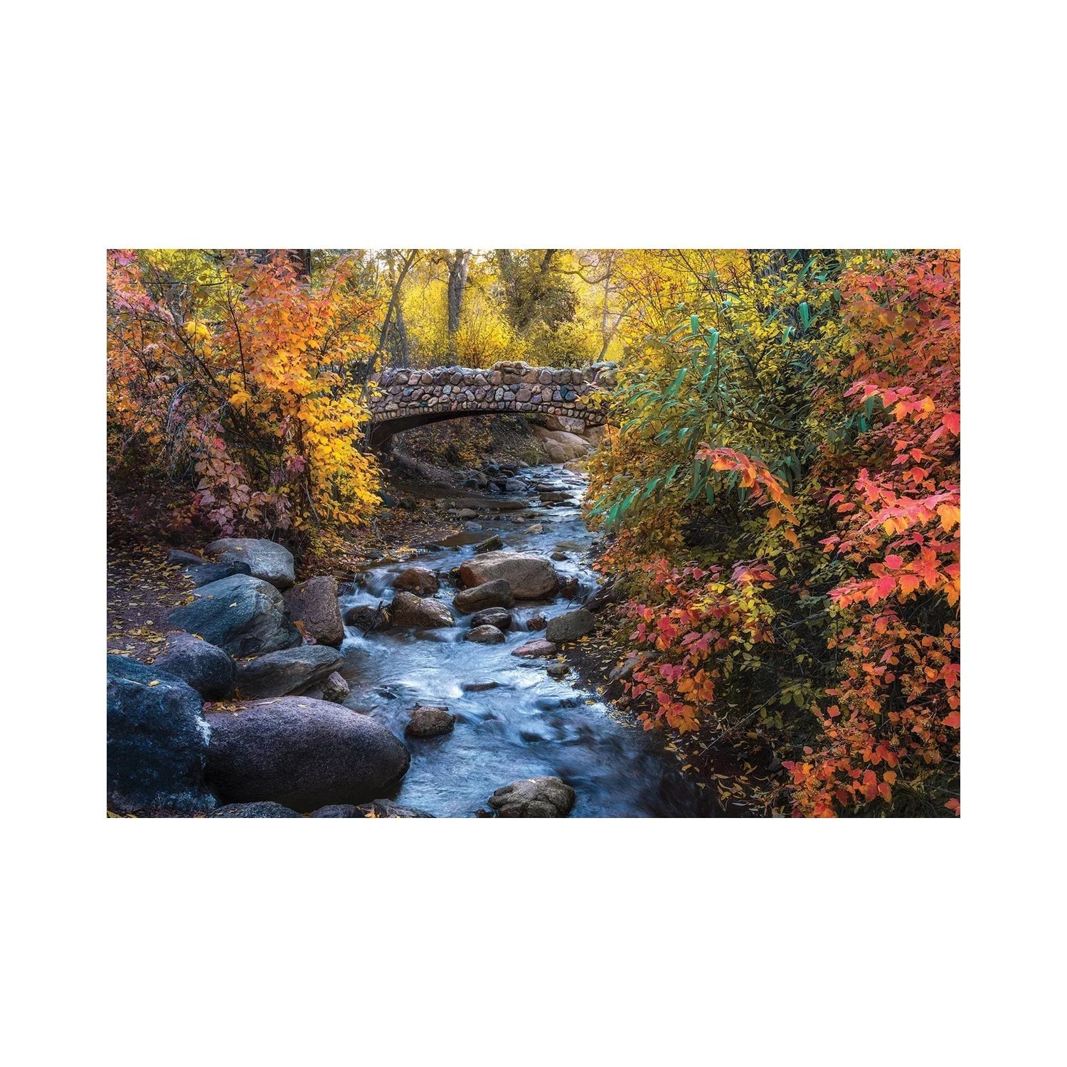 "Colorado Springs Fall Colors - North Cheyenne Creek Autumn Scenery" by Daniel Forster Canvas Print