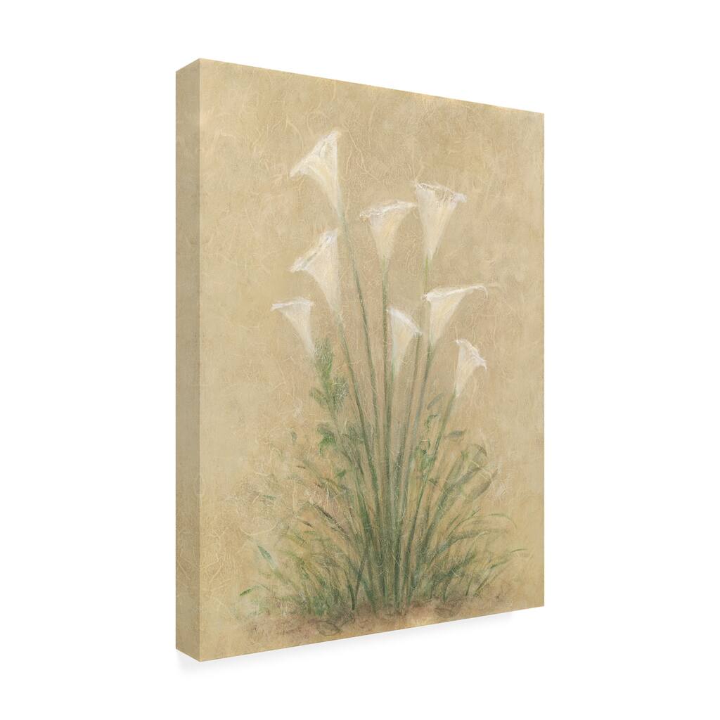 Debra Lake 'White Lilies On Parchment' Canvas Art