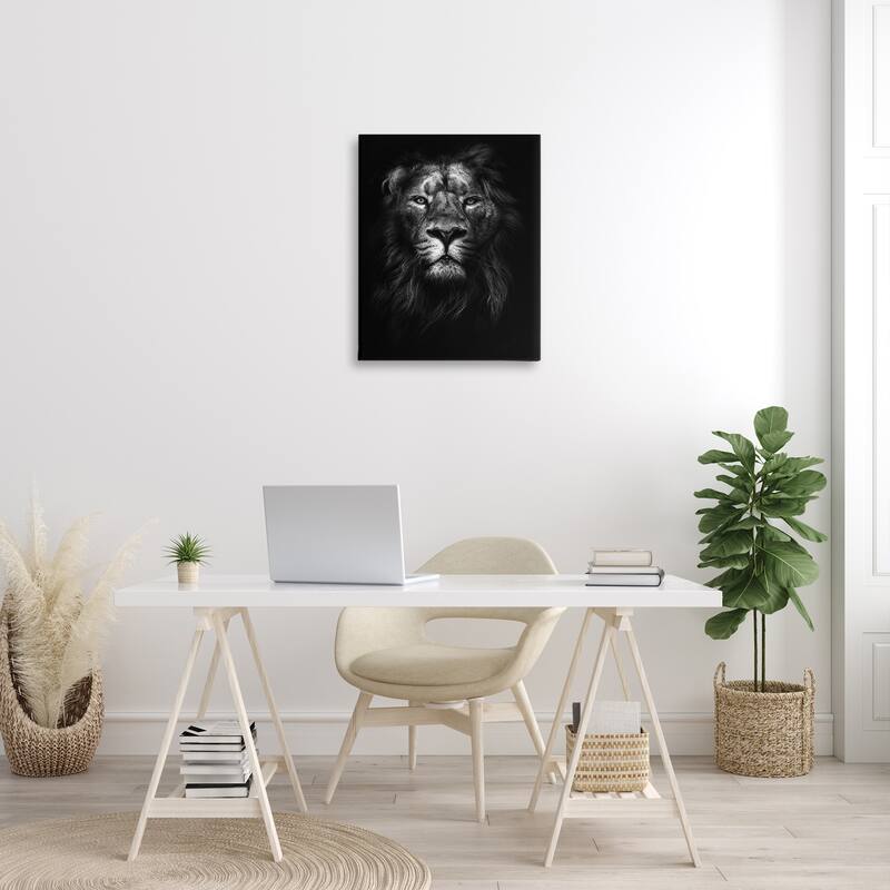 Stupell King of the Jungle Lion In Shadows, 16 x 20, Proudly Made in USA - Multi-Color