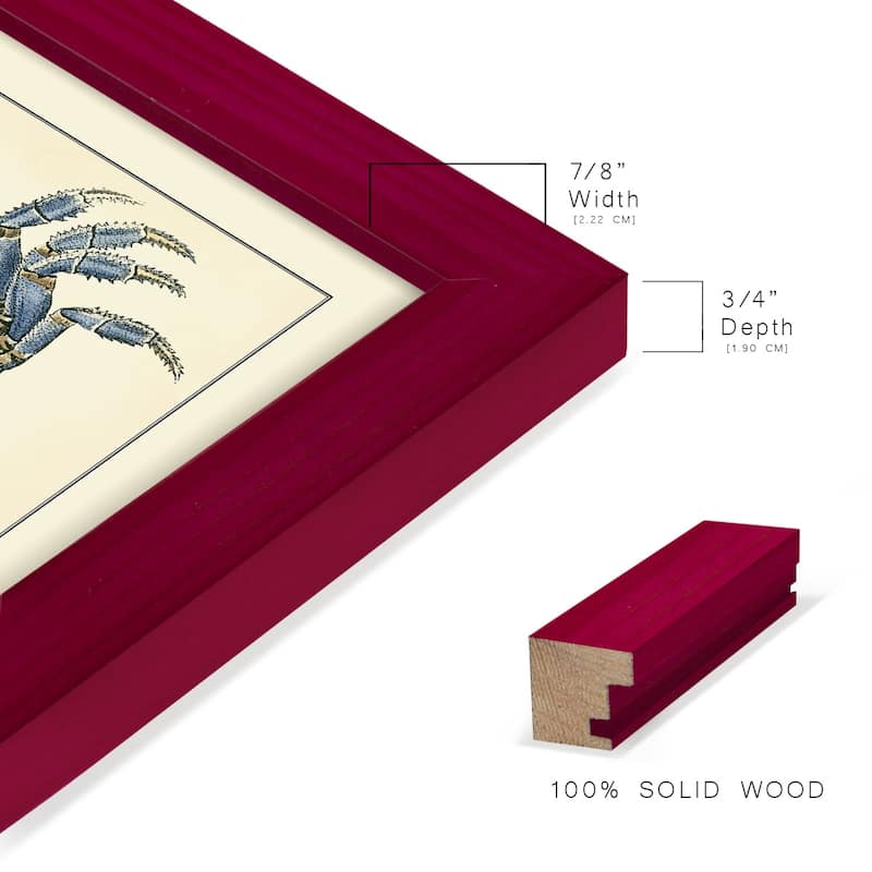 Antique Blue Crabs II -Framed Print w/glass-Cherry Red