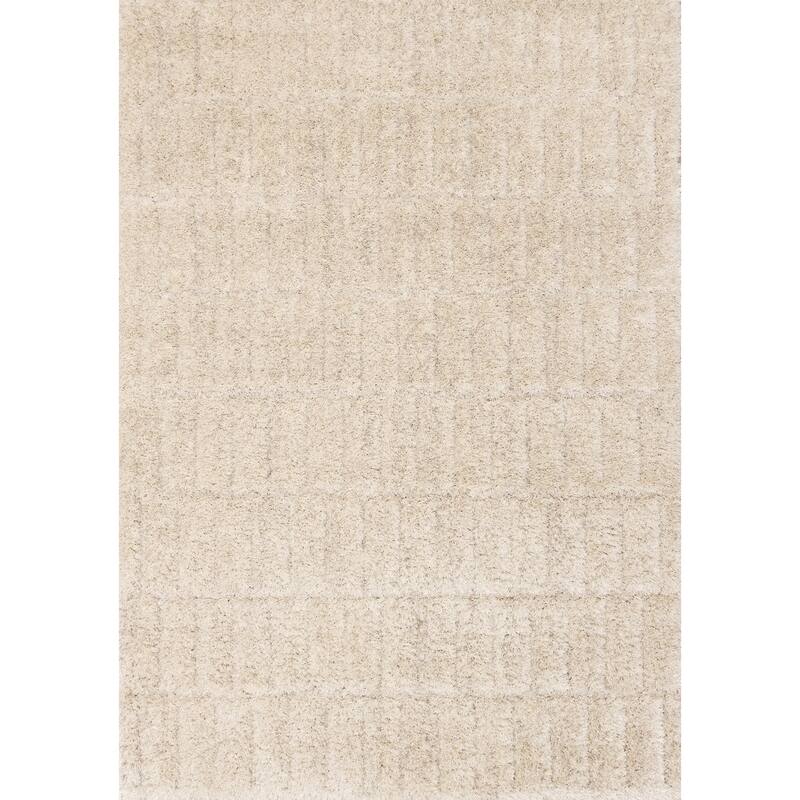 HomeRoots Geometric Modern Rectangle Area Rug - 5' X 8'