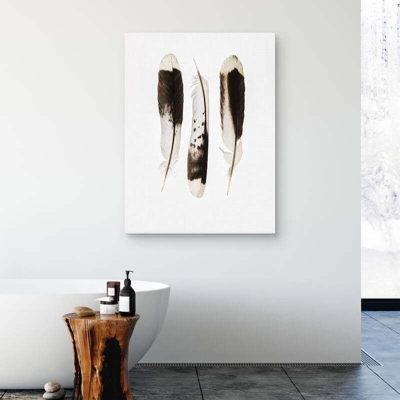 Three Feathers by Nancy Crowell Canvas Art Print