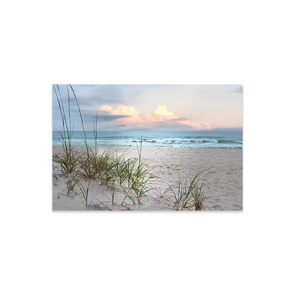 Beach Driftwood Print On Acrylic Glass by Nan