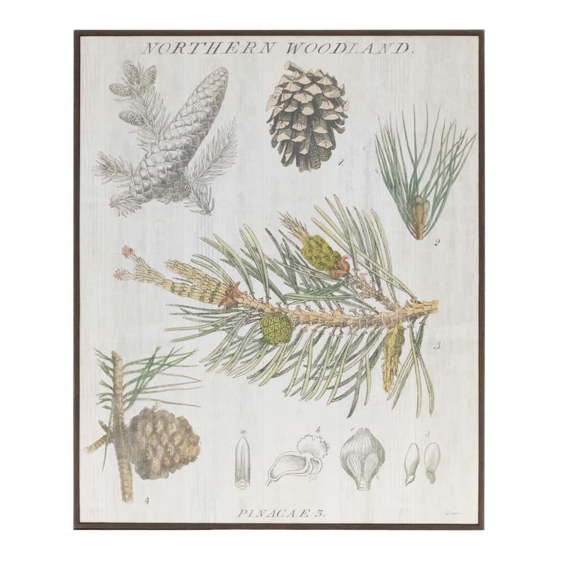 15.5” Tall Green-White Rustic Pine Print Wall Art for Holiday Decor Woodland Style Cabin Accent Sign - 13”L x 0.5”W x 15.5”H