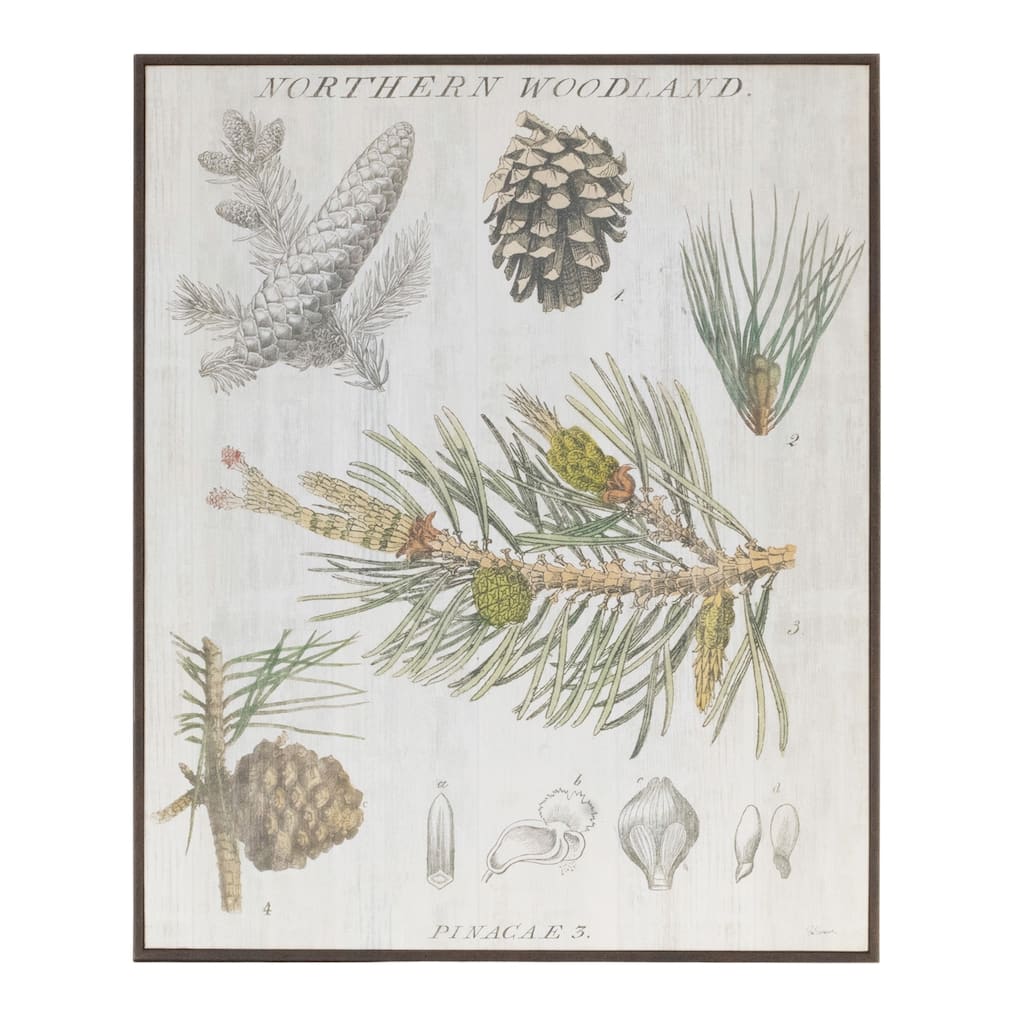 15.5” Tall Green-White Rustic Pine Print Wall Art for Holiday Decor Woodland Style Cabin Accent Sign - 13”L x 0.5”W x 15.5”H