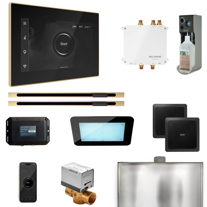 Mr Steam BLS1-XL Bliss Max Linear Package Steam Shower Control Package - Black / Polished Brass
