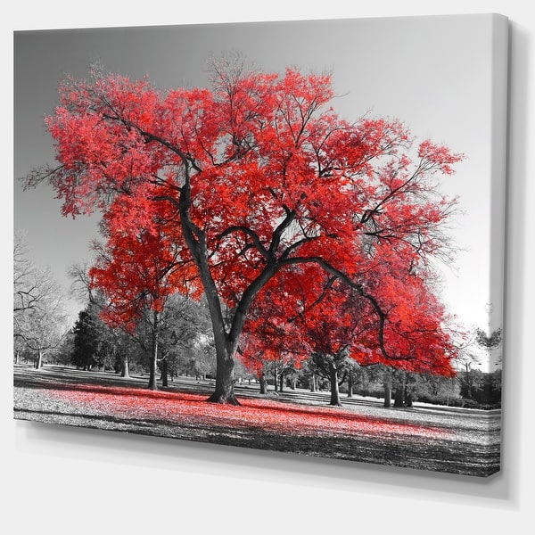 Designart 'Big Red Tree on Foggy Day' Large Landscape Canvas ...