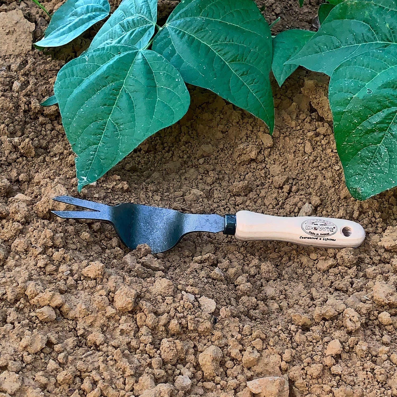 DeWit Weeding Tool - Thumbnail 4
