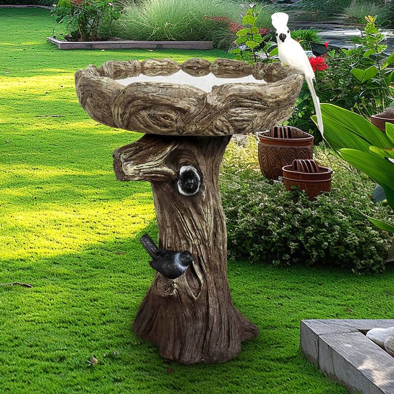 23" H Outdoor Concrete Bird Bath - Perfect for Adding Interest to Garden, Patio, Backyard, Porch and Deck