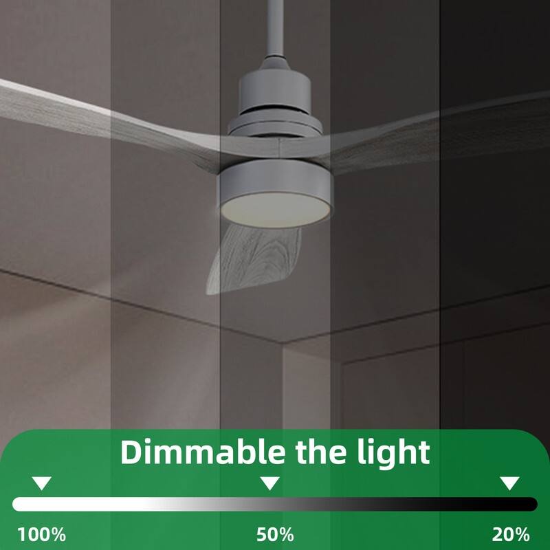 48/52 in. Modern Ceiling Fans with LED Light,Quiet/Reversible DC Motor, Flush Mount or Downrod, in White/Silver/Black