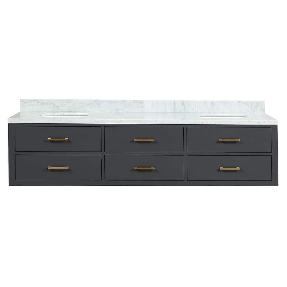 Lexora Castor Double Bath Vanity and Carrara Marble Top
