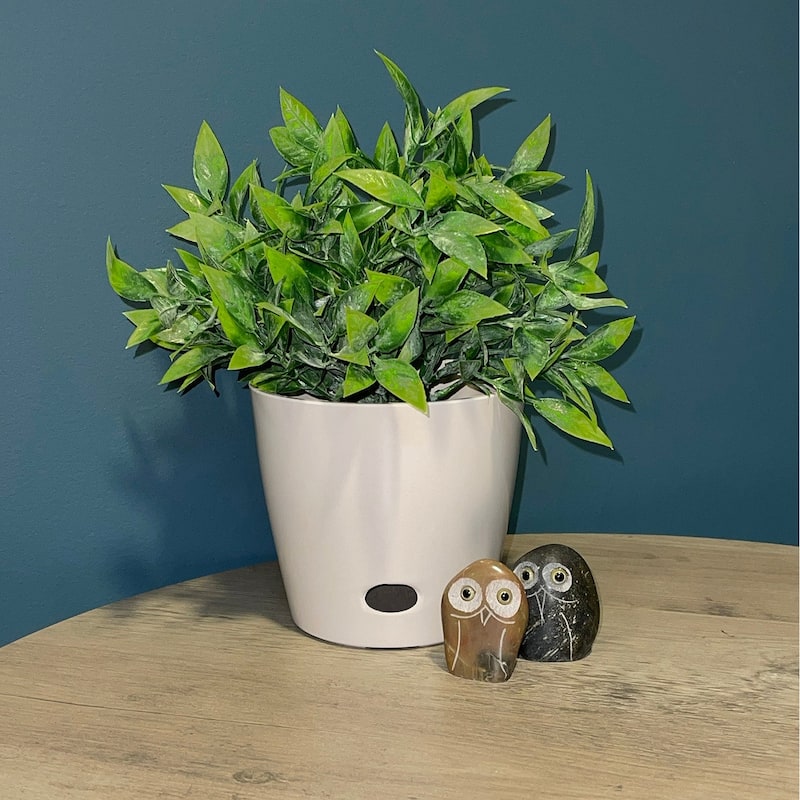 Bamboo Blooms Self-Watering Plant Pot Set of 3 - 5"-7"-10"Round
