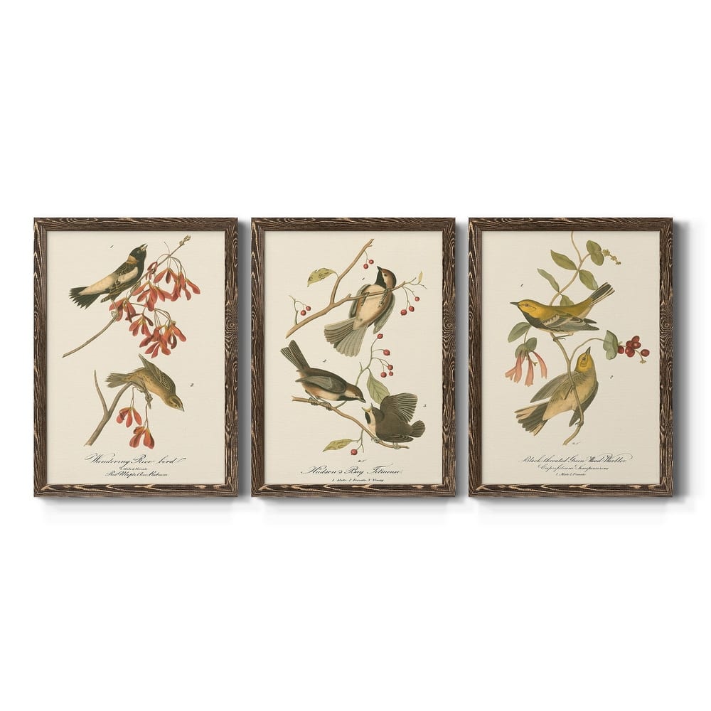 Wandering Rice Bird-Premium Framed Canvas - Ready to Hang - Multi-Color