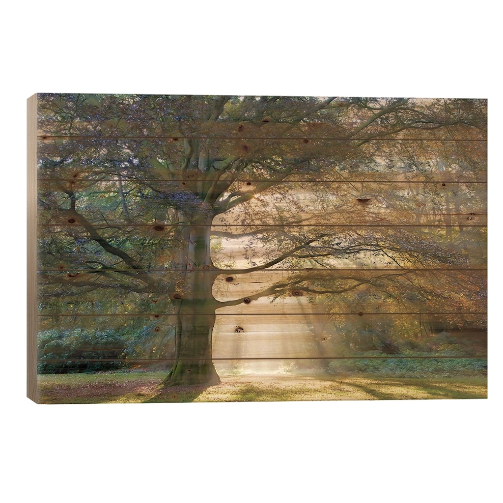 The Natural Queen Print On Wood by Lars van de Goor - Multi-Color