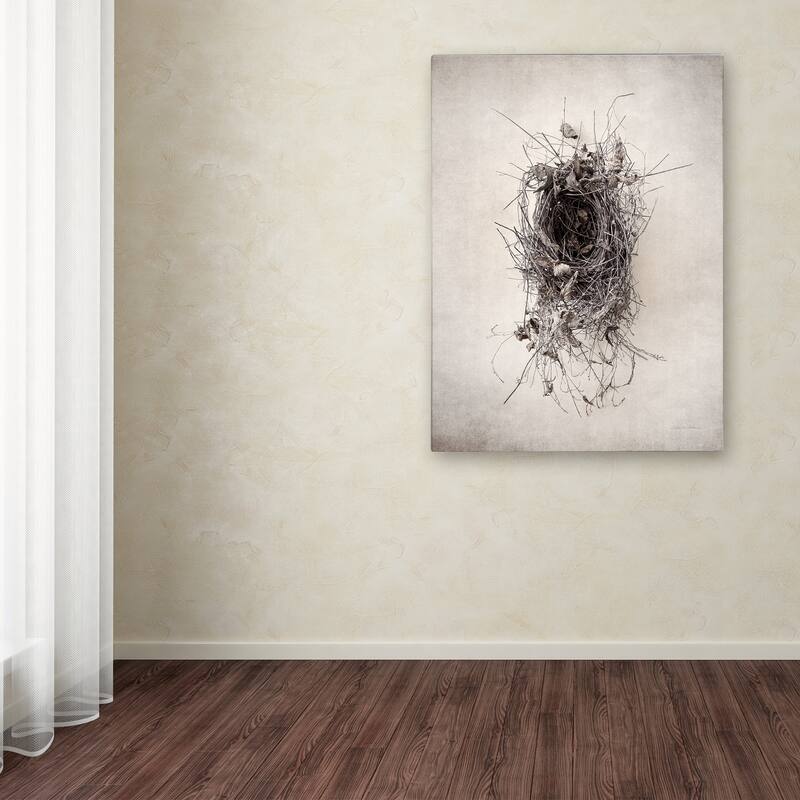 Debra Van Swearingen 'Nest II' Canvas Art