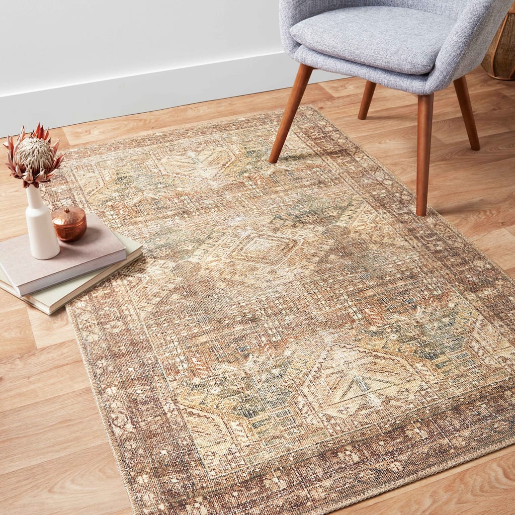 Alexander Home Dhanya Oriental Distressed Area Rug