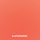 Option Canvas Melon