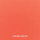Option Canvas Melon