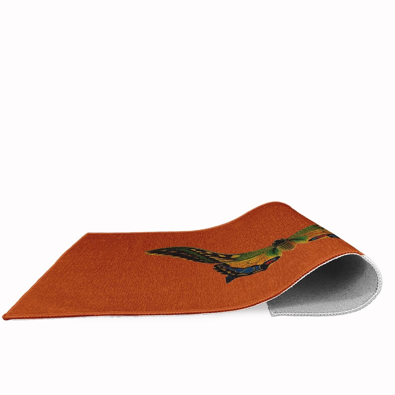 Colorful Butterfly Swallowtail Novelty Chenille Area Rug