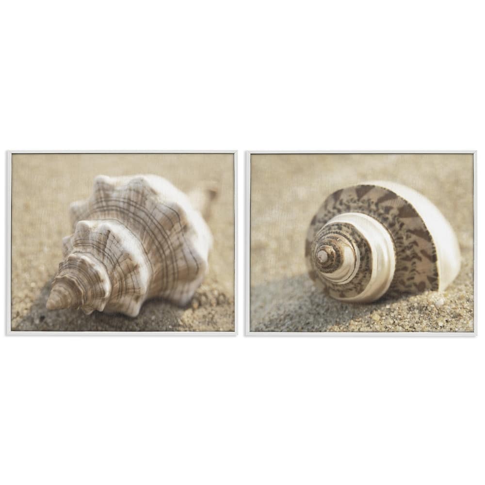 Stupell Neutral Tone Sea Life Framed Giclee Art Design By Dora Rotondella (Set of 2)