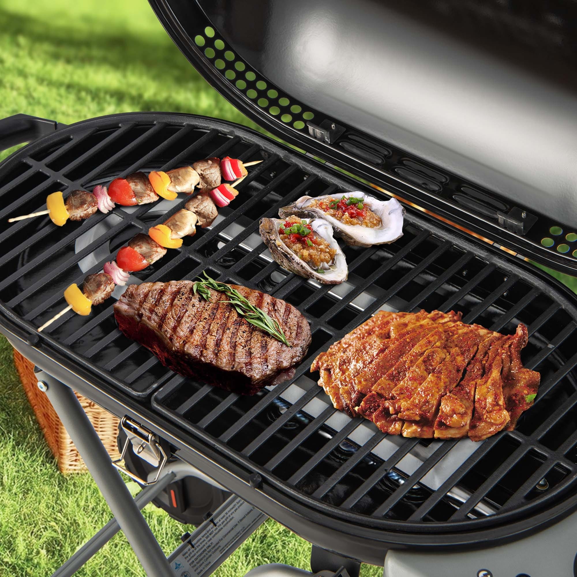 Coleman Propane Grill Coleman Lxe Portable Grill Road Trip Coleman