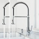 preview thumbnail 11 of 156, VIGO Edison 19" H Single Handle Pull-Down Sprayer Kitchen Faucet