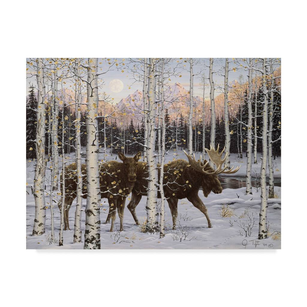 Jeff Tift 'Forest Twilight' Canvas Art