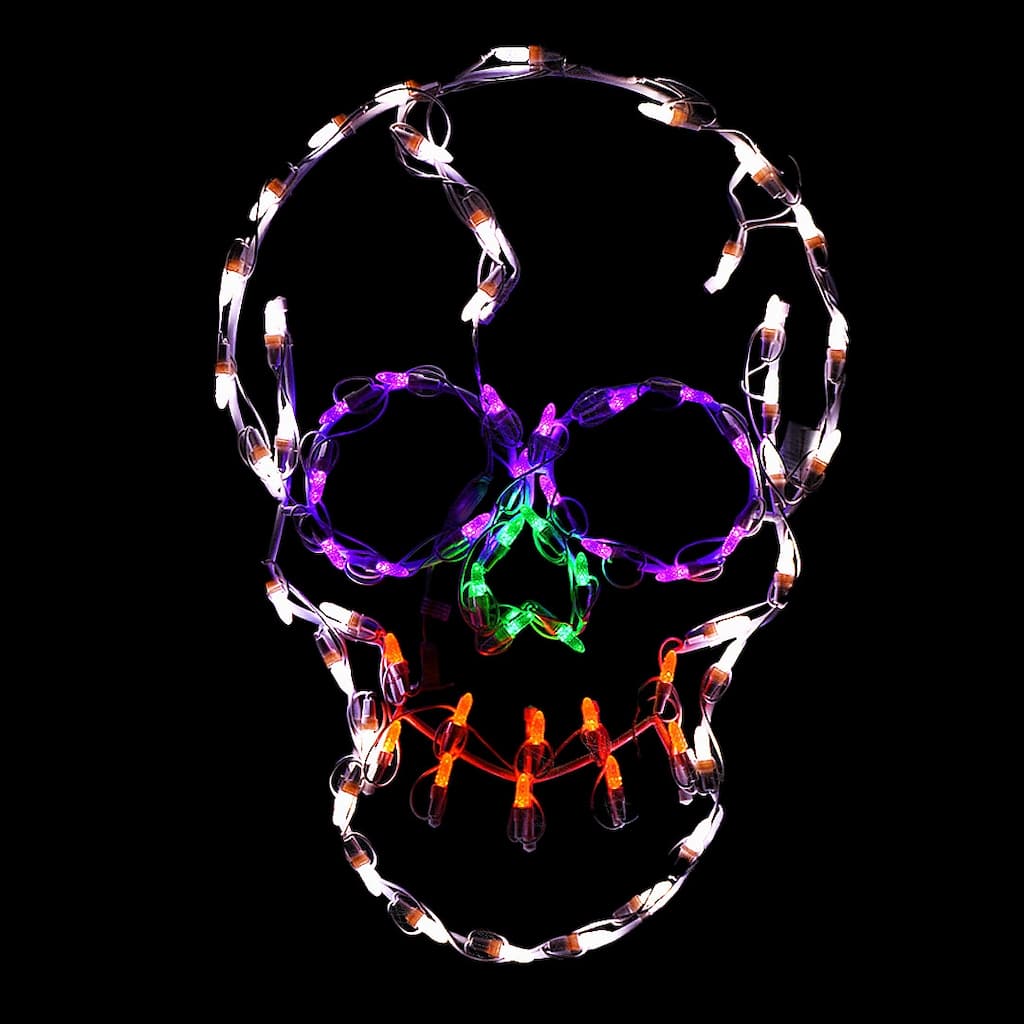 Halloween LED Small Skull 24 inches