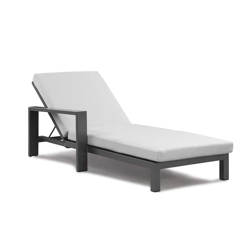 Benton Modern Aluminum Lounge Outdoor Double Chaise with Cushion