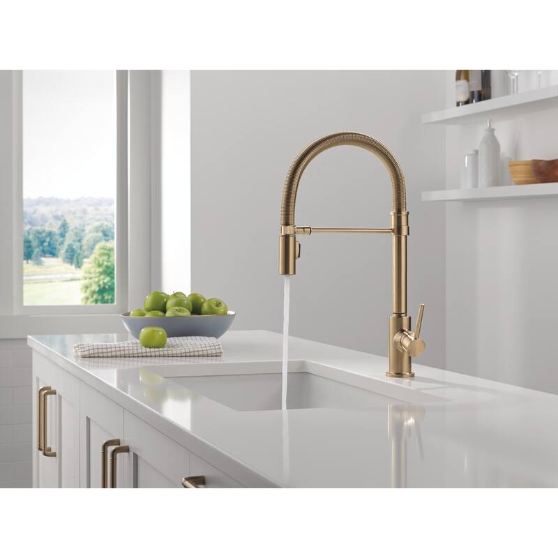 Delta Trinsic Pro Pre-Rinse Pull-Down Kitchen Faucet with Magnetic