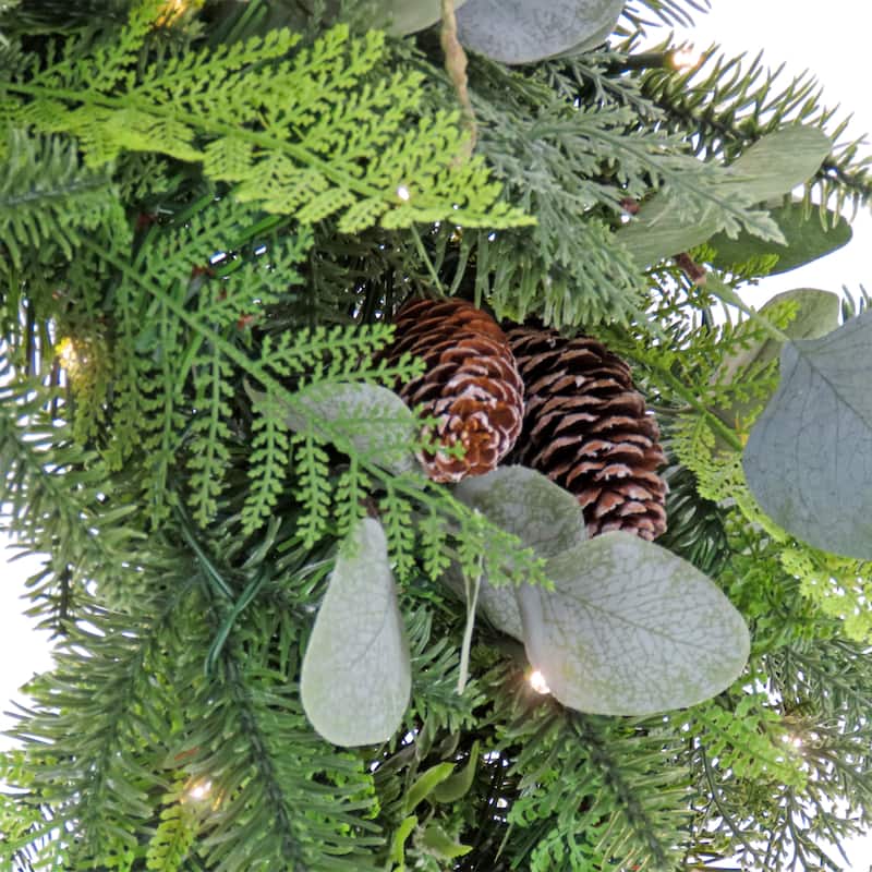 National Tree Company 28 in. HGTV Home Collection Winter Garden Eucalyptus Mixed Tip Wreath - 28 in