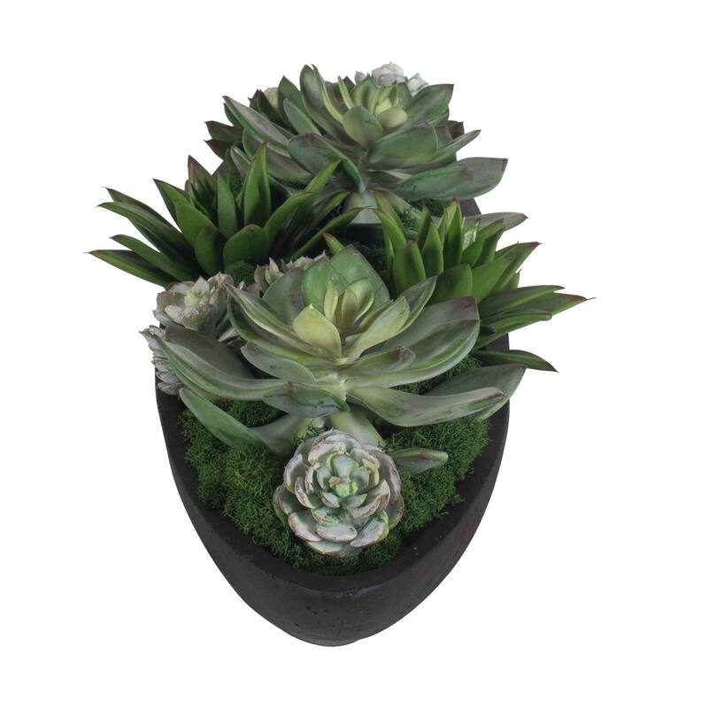 Uttermost Verde Succulent Centerpiece In Bowl - 29.00" W x 6.00" H x 8.00" D