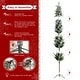 preview thumbnail 32 of 58, Glitzhome Pre-Lit Flocked Pencil Spruce Artificial Christmas Tree with Warm White Lights