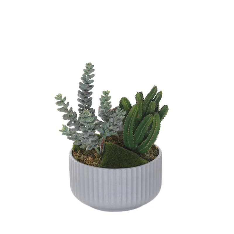 Succulents Arrangement with Moss in Gray Pot - Green