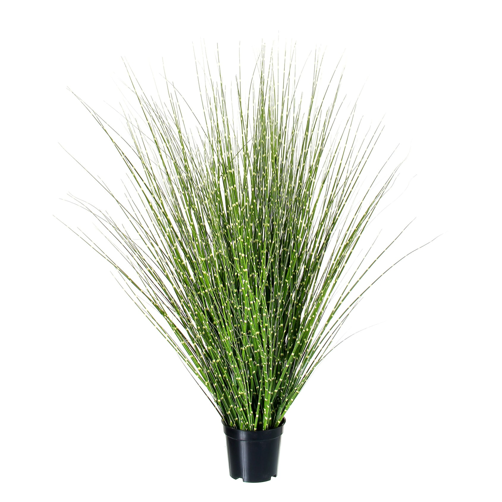 Potted PVC Fountain Zebra Grass 28"