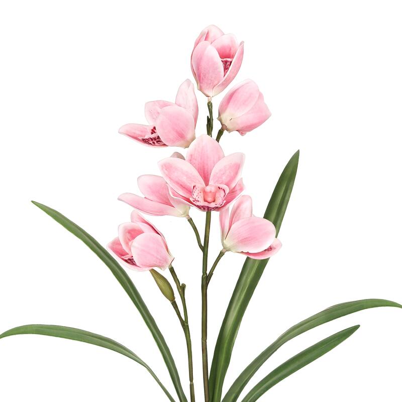 Set of 2 Pink Artificial Cymbidium Orchid Plant Flower Stem Spray 20in - 20" L x 6" W x 6" DP