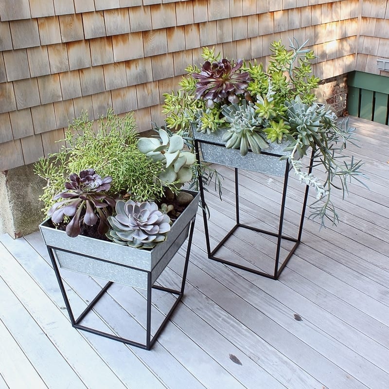 Achla Designs Small Indoor Outdoor Arne Plant Stand With Deep Galvanized Tray, 14 Inch Tall, Black Powder Coat Finish