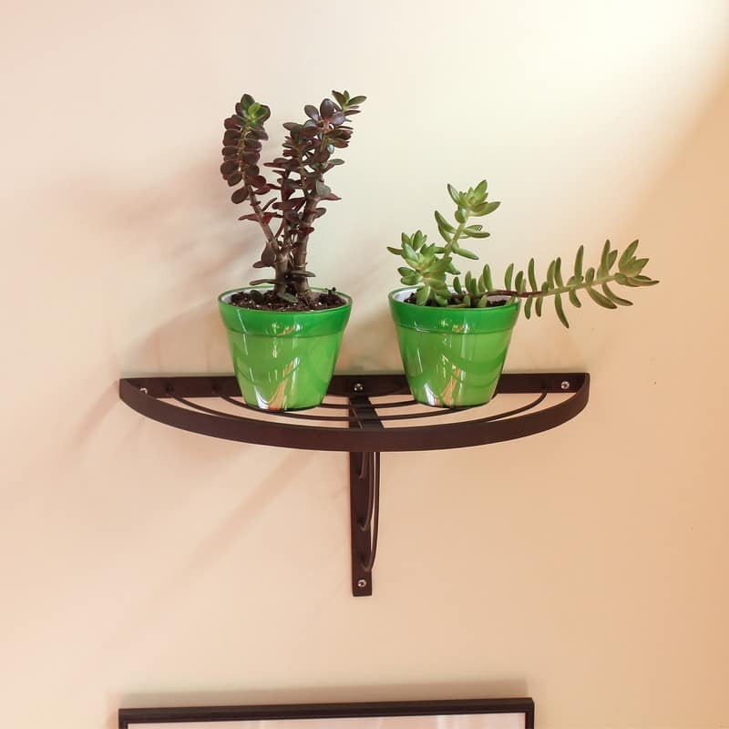 Achla Designs 18" W Half-Round Roman Bronze Wrought Iron Wall Plant Shelf, Powder Coated Finish, Home Accessory