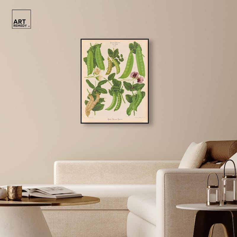 Podded Peas from Benary 1876 Canvas by Art Remedy