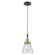 Option Clear Shade / Black Antique Brass