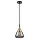 Option Black Antique Brass / Light Smoke Shade