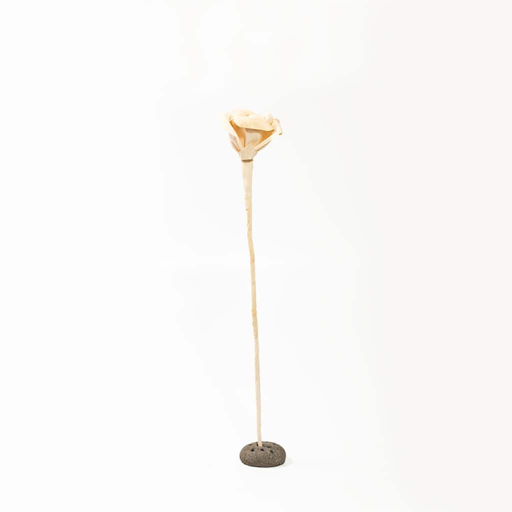 Rose Natural Décor 4"X4"x29"- ST - Natural - Natural
