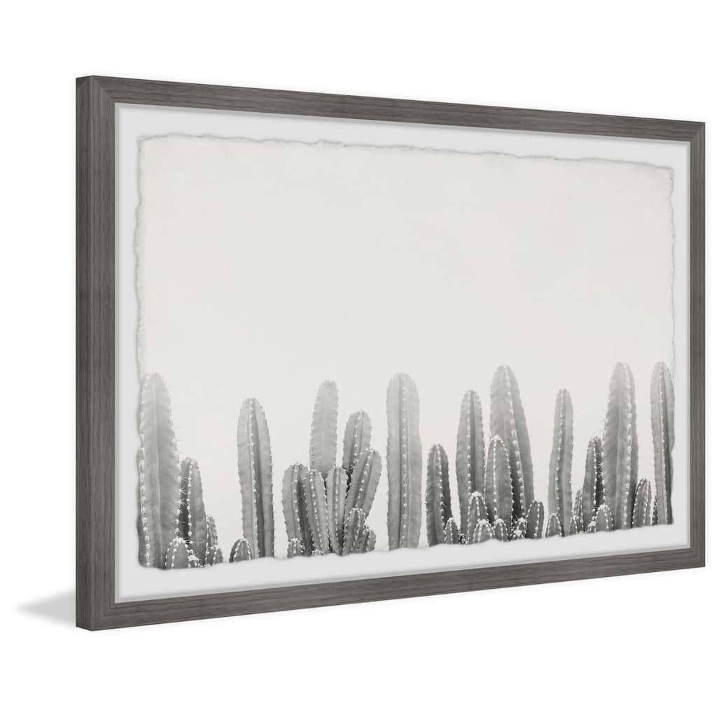 Cacti Splendor II Framed Wall Art, Elegant Home Touch - Sophisticated Artwork for Refined Décor