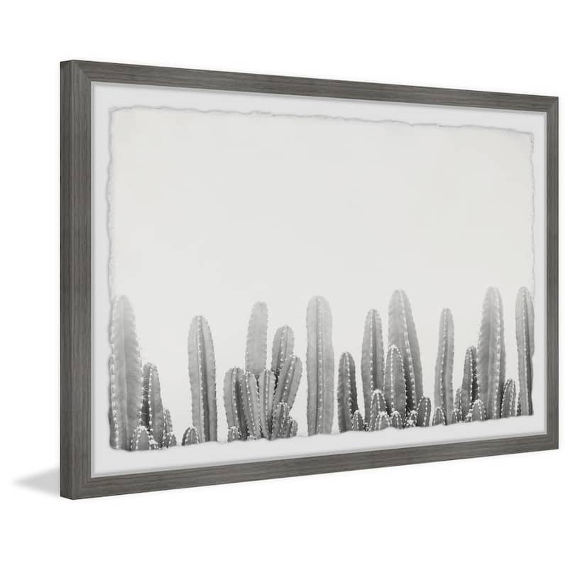 Cacti Splendor II Framed Wall Art, Elegant Home Touch - Sophisticated Artwork for Refined Décor