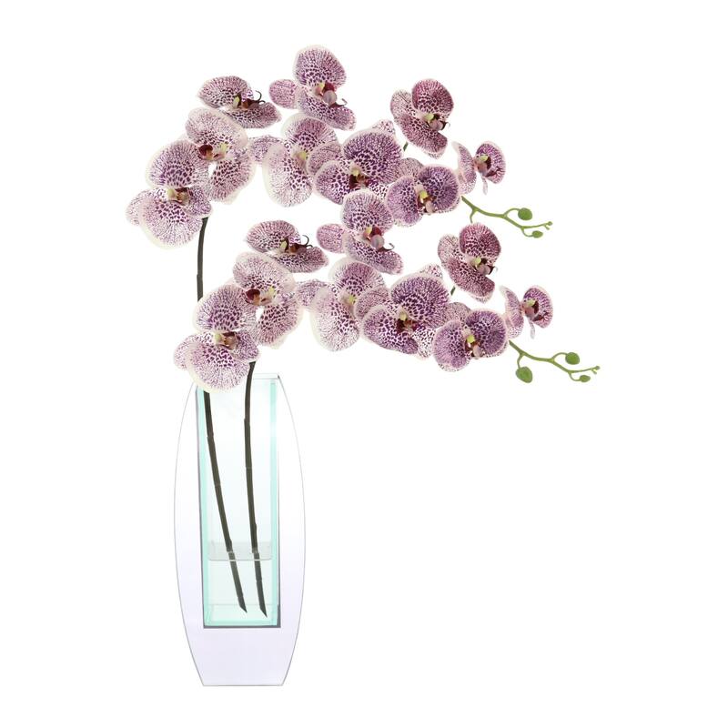 Modern Orchid Arrangement in Mirrored Glass Vase